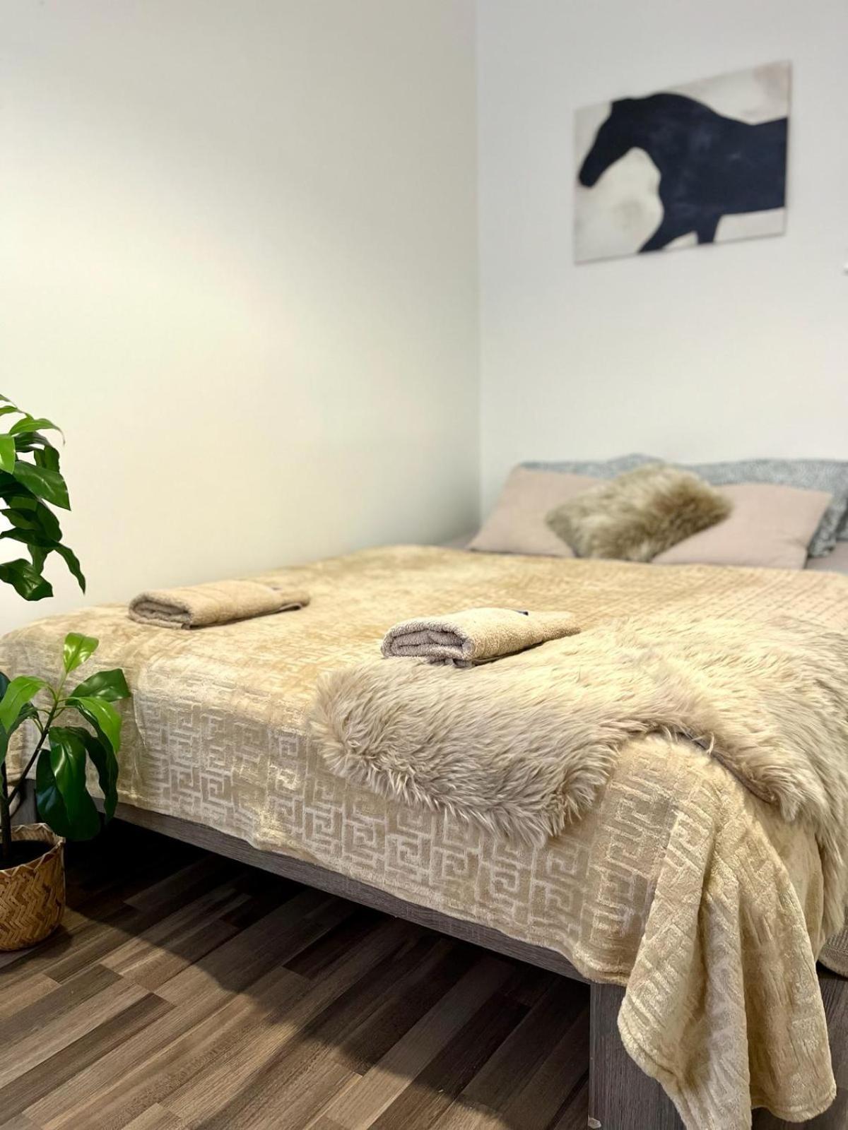 Apartment Adele - Old Town Bratislava Bagian luar foto